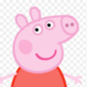 Meet your Posher, Bridget